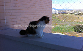 Protección Ventanas - mallas para gatos