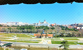 Protección Ventanas